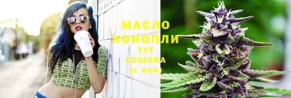 индика Вяземский