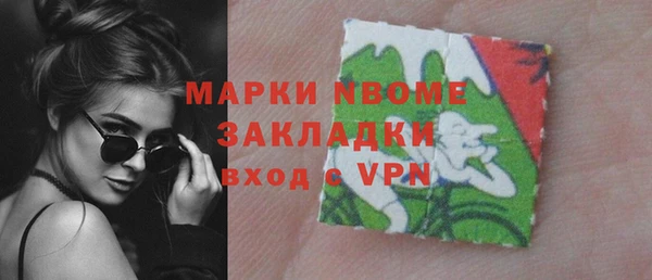 индика Вяземский