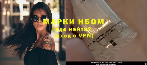индика Вяземский