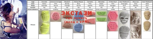стаф Михайловск