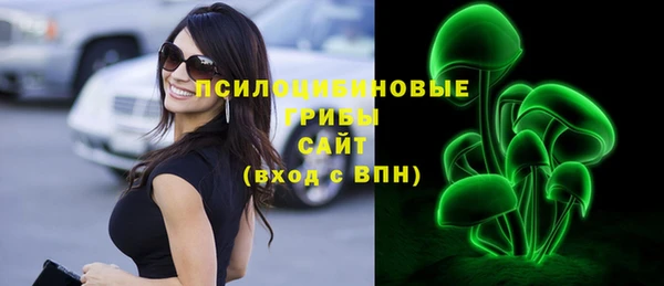 ГАЛЛЮЦИНОГЕННЫЕ ГРИБЫ Михайлов