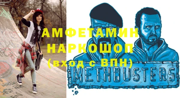 индика Вяземский