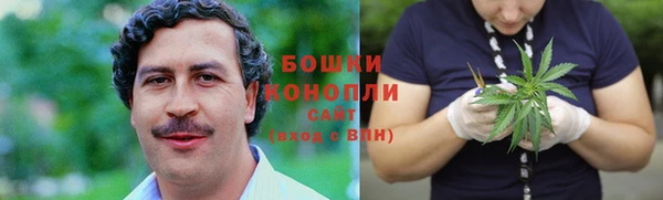 индика Вяземский