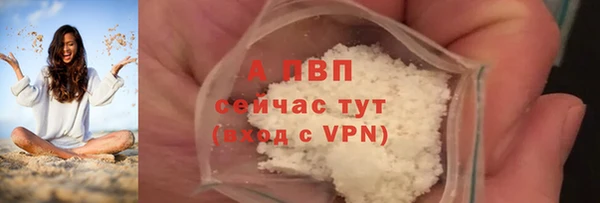 стаф Михайловск