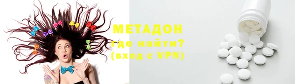 индика Вяземский