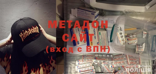 индика Вяземский