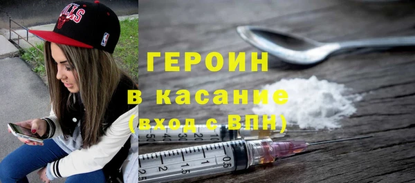индика Вяземский