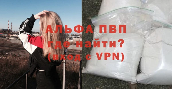индика Вяземский
