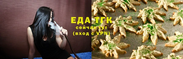 индика Вяземский