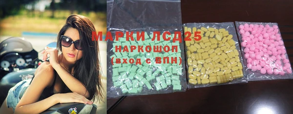 индика Вяземский